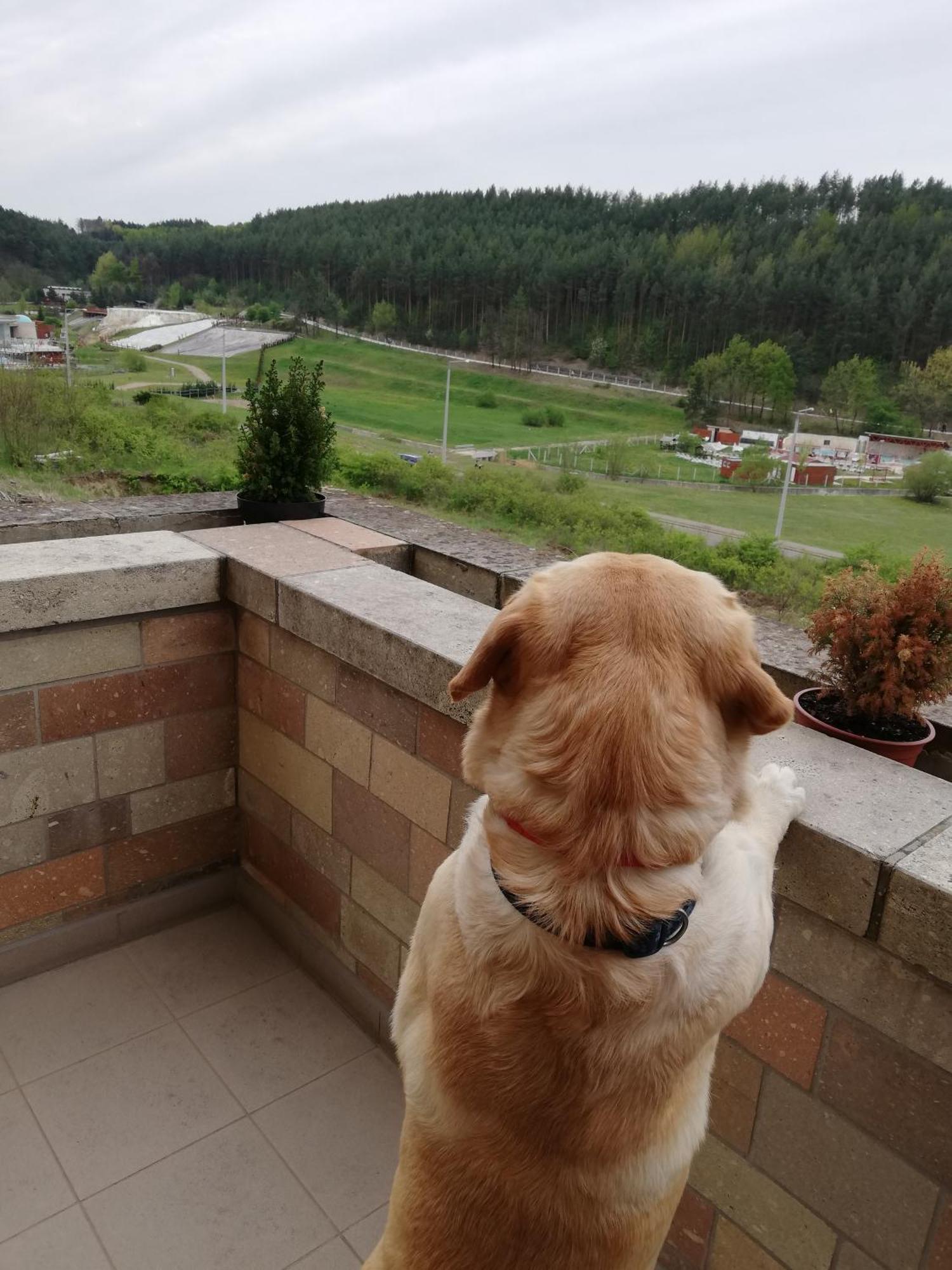 Chill Hill Daire Egerszalók Dış mekan fotoğraf